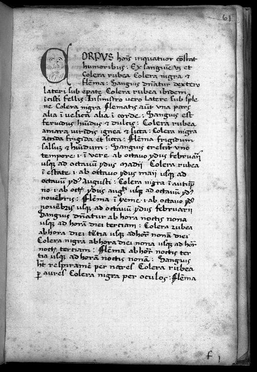 A page from Macer Floridus' De viribus herbarum, a herbal poem widely copied in medieval monasteries.