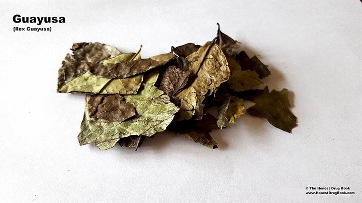 Imagen de Guayusa, el té de antes del amanecer