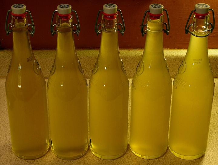 Image of Elderflower cordial